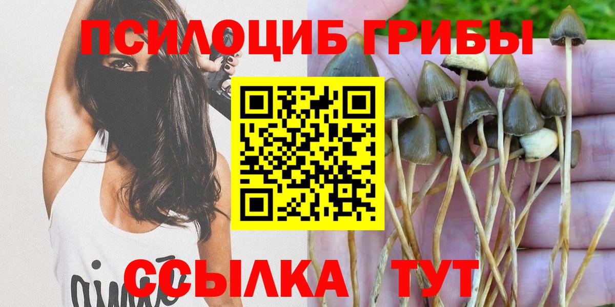Галлюциногенные грибы Psilocybe  Вход с VPN  Псилоцибиновые грибы Cubensis  Артём 