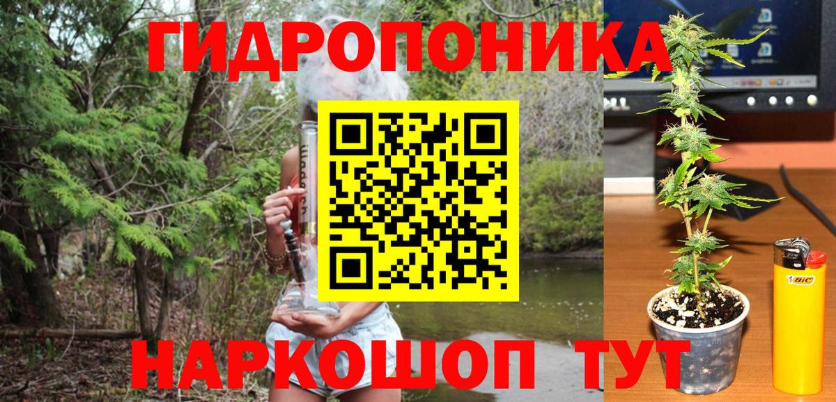 Марихуана MAZAR  Бошки Шишки конопля  Бошки марихуана план  Вход с VPN  Артём 